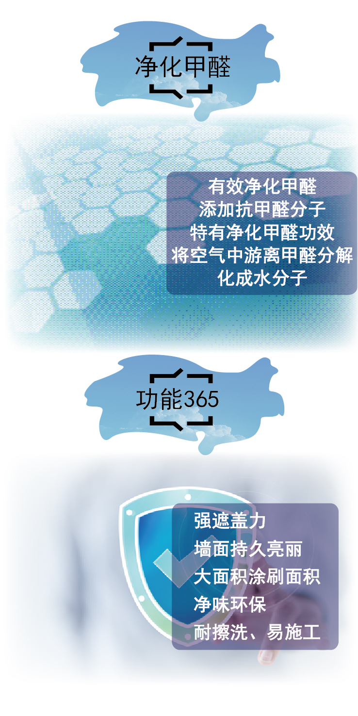 凈化甲醛.jpg