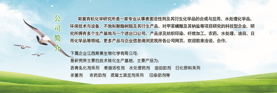 公司簡介