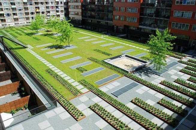 屋頂花園1.jpg