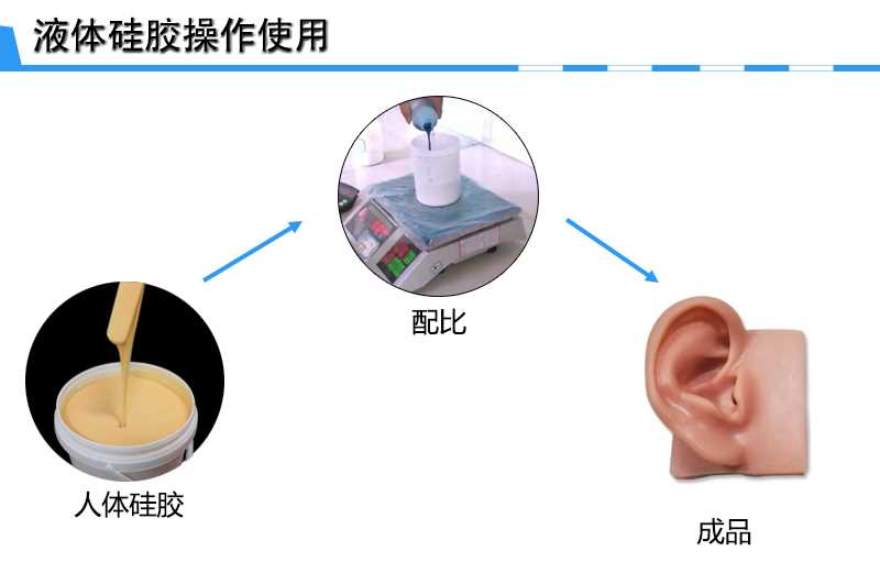 人體2.jpg