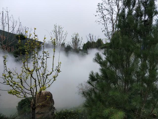 201903231224510930074.jpg