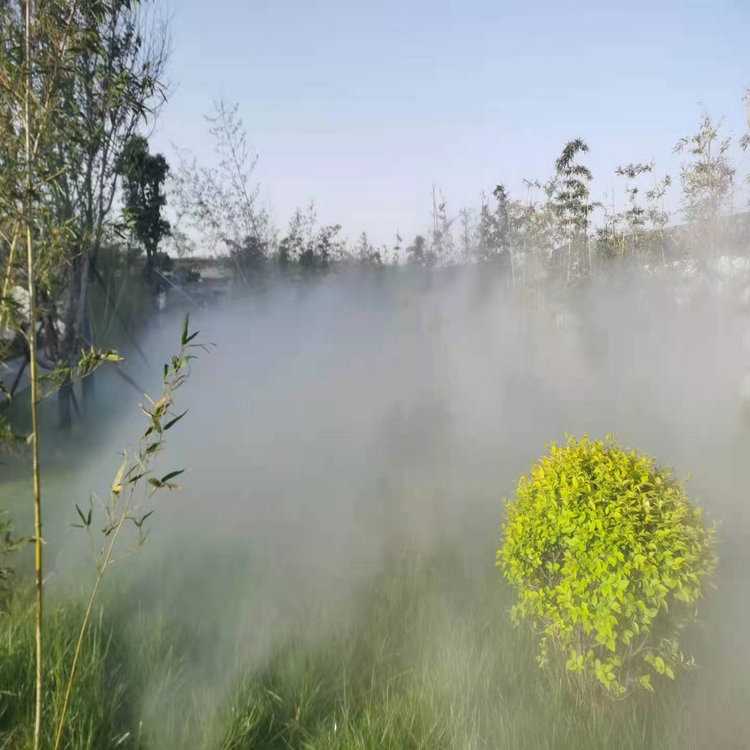 20220401152139406934.jpg