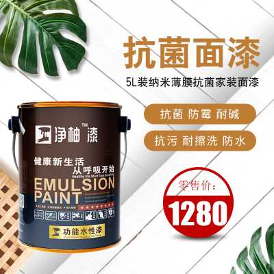 臣工凈柚漆P2系列5L裝凈樂抗菌乳膠漆內墻漆功能漆水性漆