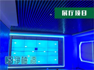 臣工凈柚漆瓷釉漆工程涂料內墻防霉漆