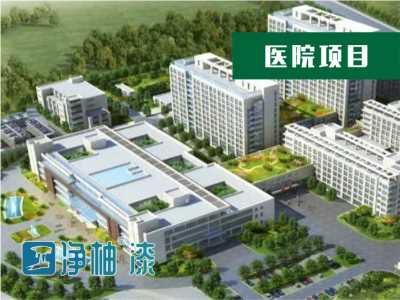 臣工凈柚漆自潔涂料高光漆兒童健康寶家裝漆納米油漆