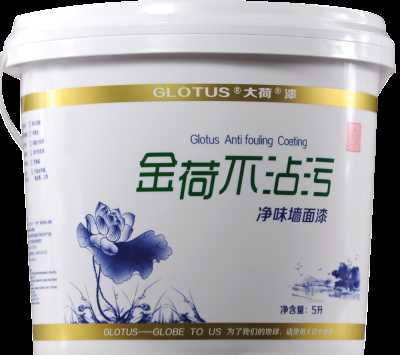 不沾污 凈味墻面漆，大荷墻面乳膠漆