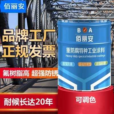 墻體金屬防霉防腐用什么漆 氟碳防腐漆廠家價格