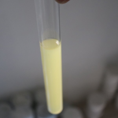涂料助劑消泡劑302水性涂料強力消泡長久抑泡礦物油通用