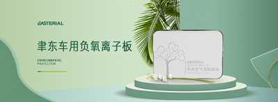 車(chē)用負(fù)離子板