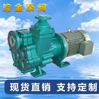 氟塑料磁力自吸泵ZMD無泄漏防腐自吸磁力驅動泵襯氟自吸泵化工泵酸堿泵吸酸泵