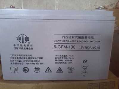 雙登蓄電池12V100AH 雙登6-GFM-100免維護蓄電池UPS EPS專用