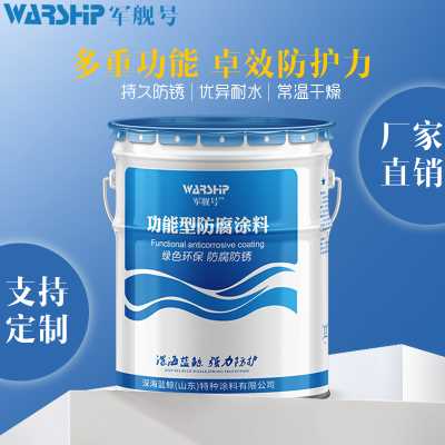 高速公路護欄體育館大型鋼結構氟碳底漆涂料防腐防銹干燥快耐老化