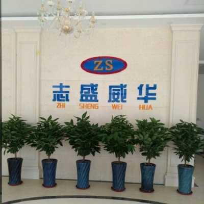 志盛威華自潔涂料防止室外材料沾灰沾油保清潔
