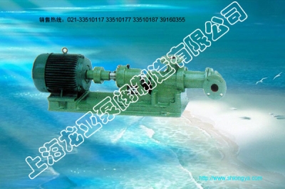 I-1B2.5寸b螺桿泵