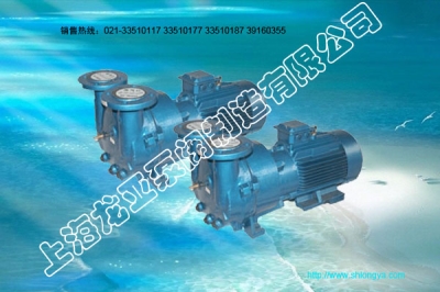 SK-85聯(lián)軸式真空泵