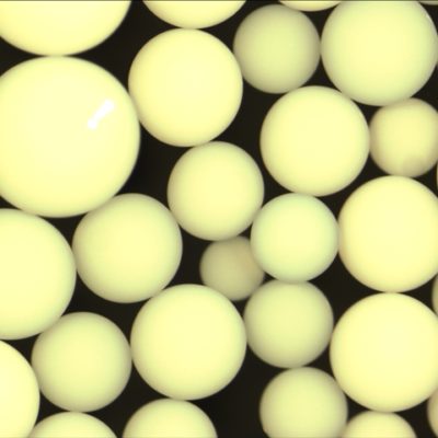 Supelite DAX-8 大孔吸附樹脂