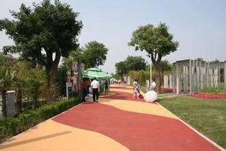 保定市聚合物修補砂漿起塵起砂修復路面 彩色景觀地坪