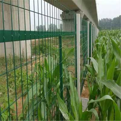 菜園子果園防護(hù)網(wǎng) 防偷網(wǎng)  防止攀爬圍欄
