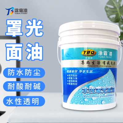 梅州罩光面油 涂霸罩光面油 承接外墻翻新工程