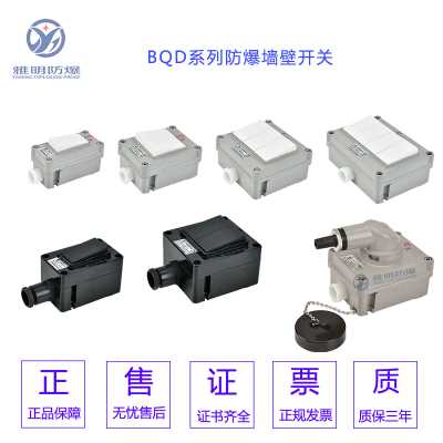 BQM-10A/IS/IIS/IIIS明裝單聯雙聯三聯防爆開關