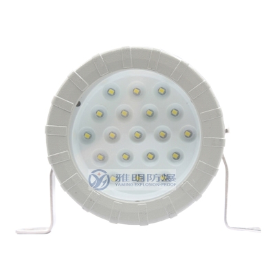 15WAC220V24V36VLED防爆視鏡燈