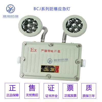 BCJ-B2×3W2×5WExdeⅡCT4防爆雙頭應急燈