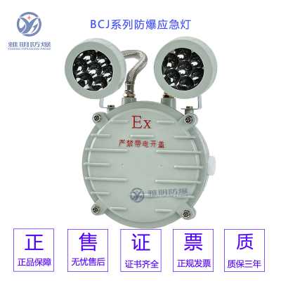 BAJ52-2×5W2×4WExdIIBT6防爆雙頭應急燈