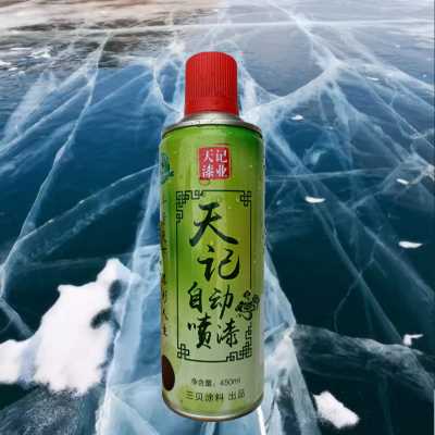 天記牌手噴漆按樣板定做各種顏色1支起訂3天交貨