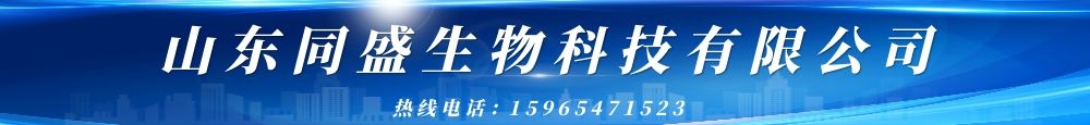 公司背景圖片