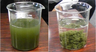 污水處理絮凝劑
