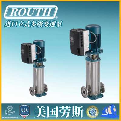 進口立式多級變速泵 液下 裝載機 vmp 礦用耐磨 立體 塑料 美國勞斯ROUTH
