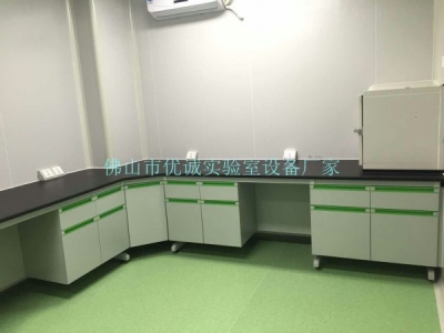 順德化驗室通風櫥實驗室通風柜測試臺定做全鋼實驗臺廠家供應