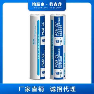 青龍高分子預(yù)鋪防水卷材廠家報(bào)價(jià)_高分子防水卷材十大品牌代理