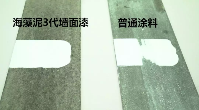 一份來自嘉寶莉海藻泥3代的硬核測評 涂料在線,coatingol.com