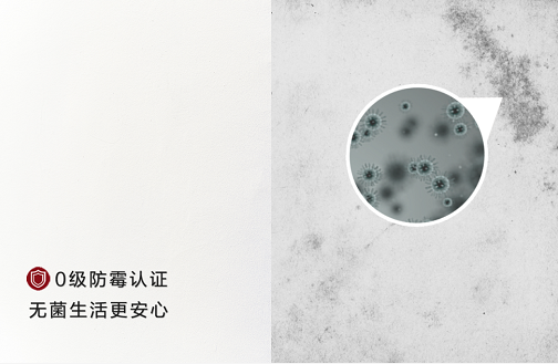 防霉抗堿 品質家居丨壁安N30耐水膩子，盤它！ 涂料在線,coatingol.com