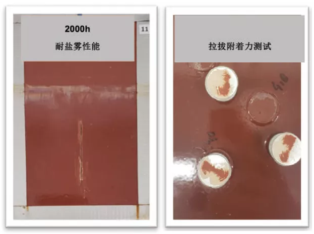 提供長效防護(hù)的超低排放環(huán)氧固化劑 涂料在線,coatingol.com