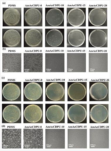 浙江大學張慶華/詹曉力《AFM》：受盲鰻啟發的超分子智能SLIPS海洋防污涂料：潤滑模式響應切換和自修復性能 涂料在線,coatingol.com
