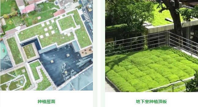 長筑久安｜屋面防水護植碳未來——解密三棵樹耐根系列防水材料 涂料在線,coatingol.com