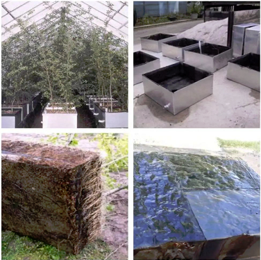 長筑久安｜屋面防水護植碳未來——解密三棵樹耐根系列防水材料 涂料在線,coatingol.com
