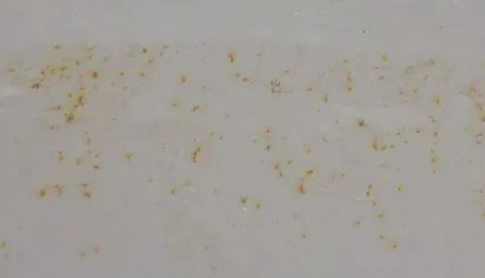 水性漆漆膜出現閃銹問題怎么解決？ 涂料在線,coatingol.com