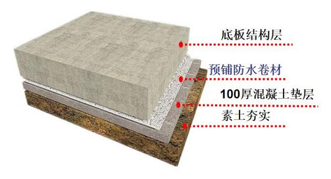 預鋪反粘高分子防水卷材的“真面目”！ 涂料在線,coatingol.com