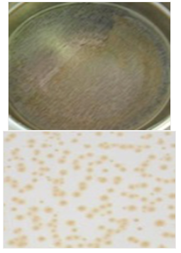 水性工業涂料本質特性分析！ 涂料在線,coatingol.com