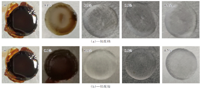 水性防腐涂料防閃銹性的研究 涂料在線,coatingol.com