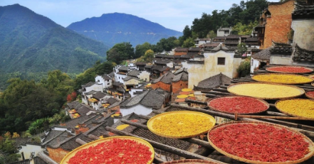 深度解析應(yīng)用于太陽能干燥的可食用生物基涂層，與其光、熱性能的研究·下 涂料在線,coatingol.com