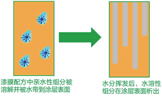 回南天內(nèi)墻乳膠漆淚痕弊病產(chǎn)生原因與影響因素研究 涂料在線,coatingol.com
