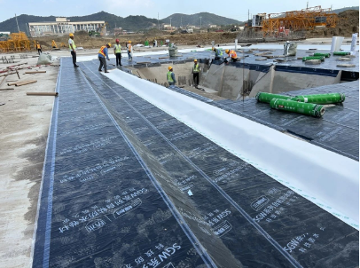 落實新規(guī)｜三棵樹防水助力無錫市胡埭鎮(zhèn)定銷商品房項目建設(shè) 涂料在線,coatingol.com