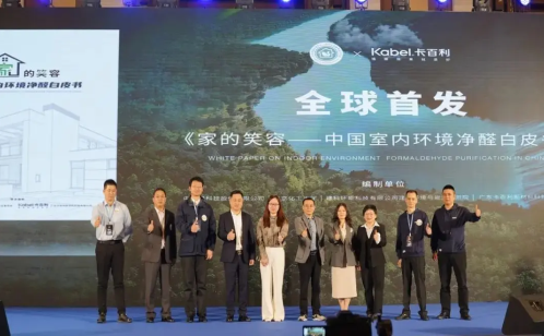 尚普咨詢集團：卡百利凈醛藝術漆連續三年全國銷量第一 涂料在線,coatingol.com