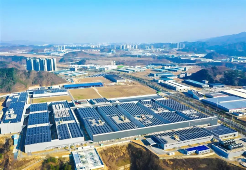 科技打頭陣!三棵樹防水創新技術引領行業風向 涂料在線,coatingol.com