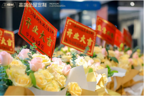 三棵樹首家高端全屋定制直營門店盛大開業 涂料在線,coatingol.com