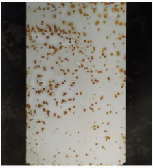 涂料用防閃銹劑有哪些種類？如何科學使用？ 涂料在線,coatingol.com